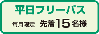 平日フリーパス