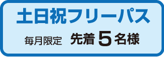 土日祝フリーパス