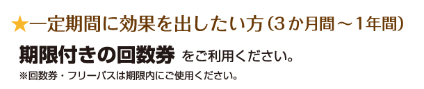 土日祝フリーパス